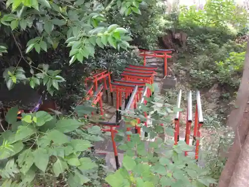 澤蔵司稲荷（慈眼院）(東京都)