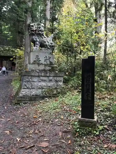 戸隠神社奥社の狛犬