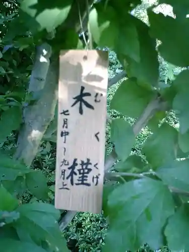 長谷寺のその他建物