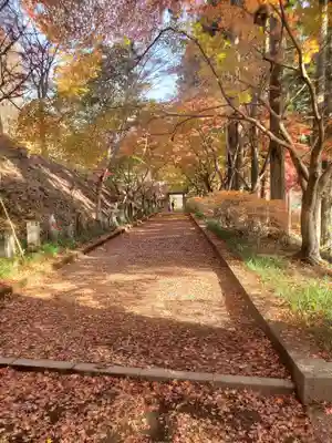 金藏院（聖法寺）(栃木県)