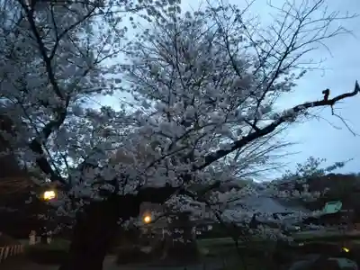 稱名寺(神奈川県)