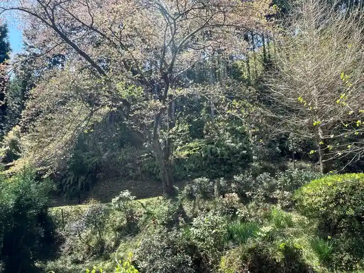 導故院(京都府)