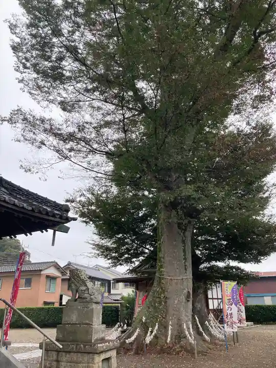 八枝神社(埼玉県)
