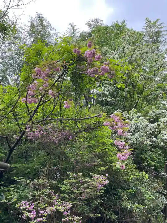 不思議不動院(京都府)