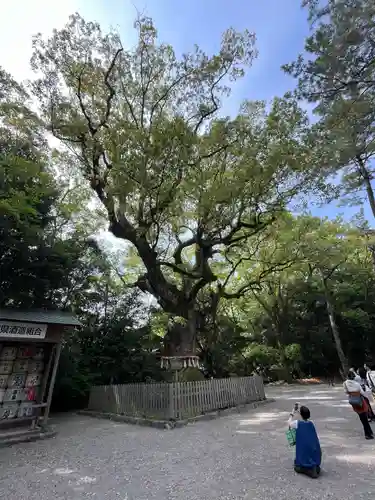 熱田神宮(愛知県)