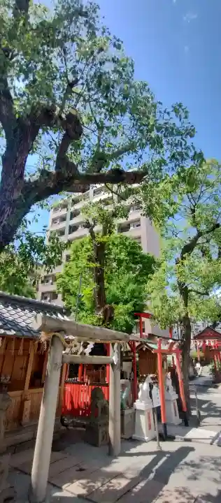 神津神社の{uncategorized: "未分類", other: "その他", undefined: "問題あり", building: "その他建物", grave: "お墓", sacred_gate: "鳥居", guardian: "狛犬", statue: "像", buddha: "仏像", history: "歴史", nature: "自然", garden: "庭園", animal: "動物", pagoda: "塔", temizu: "手水舎", mountain_gate: "山門・神門", sanctuary: "本殿・本堂", subordinate: "末社・摂社", art: "芸術", scenery: "景色", jizo: "地蔵", ema: "絵馬", goshuin: "御朱印", omikuji: "おみくじ", items: "授与品その他", amulet: "お守り", goshuincho: "御朱印帳", eats: "食事", festival: "お祭り", votive_dance: "神楽", shichigosan: "七五三参", wedding: "結婚式", experience: "体験その他", initially: "初詣", around: "周辺", anti_infection: "感染症対策"}