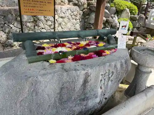 岡寺（龍蓋寺）の{uncategorized: "未分類", other: "その他", undefined: "問題あり", building: "その他建物", grave: "お墓", sacred_gate: "鳥居", guardian: "狛犬", statue: "像", buddha: "仏像", history: "歴史", nature: "自然", garden: "庭園", animal: "動物", pagoda: "塔", temizu: "手水舎", mountain_gate: "山門・神門", sanctuary: "本殿・本堂", subordinate: "末社・摂社", art: "芸術", scenery: "景色", jizo: "地蔵", ema: "絵馬", goshuin: "御朱印", omikuji: "おみくじ", items: "授与品その他", amulet: "お守り", goshuincho: "御朱印帳", eats: "食事", festival: "お祭り", votive_dance: "神楽", shichigosan: "七五三参", wedding: "結婚式", experience: "体験その他", initially: "初詣", around: "周辺", anti_infection: "感染症対策"}