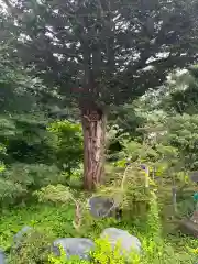 飯生神社(北海道)