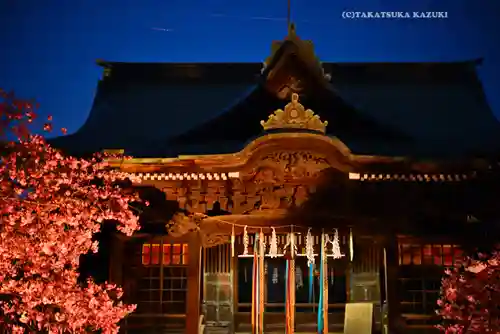 桜神宮(東京都)