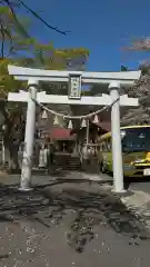 柏木神社の鳥居