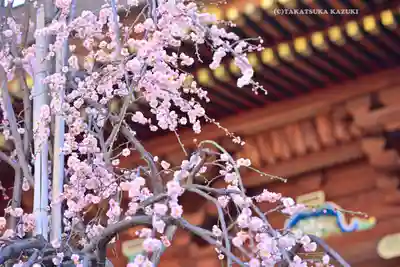 湯島天満宮(東京都)
