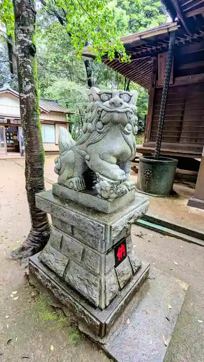 七百餘所神社 の狛犬