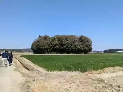 朽羅神社（皇大神宮摂社）の{uncategorized: "未分類", other: "その他", undefined: "問題あり", building: "その他建物", grave: "お墓", sacred_gate: "鳥居", guardian: "狛犬", statue: "像", buddha: "仏像", history: "歴史", nature: "自然", garden: "庭園", animal: "動物", pagoda: "塔", temizu: "手水舎", mountain_gate: "山門・神門", sanctuary: "本殿・本堂", subordinate: "末社・摂社", art: "芸術", scenery: "景色", jizo: "地蔵", ema: "絵馬", goshuin: "御朱印", omikuji: "おみくじ", items: "授与品その他", amulet: "お守り", goshuincho: "御朱印帳", eats: "食事", festival: "お祭り", votive_dance: "神楽", shichigosan: "七五三参", wedding: "結婚式", experience: "体験その他", initially: "初詣", around: "周辺", anti_infection: "感染症対策"}