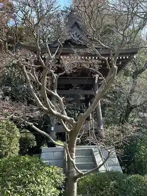 極楽寺(神奈川県)