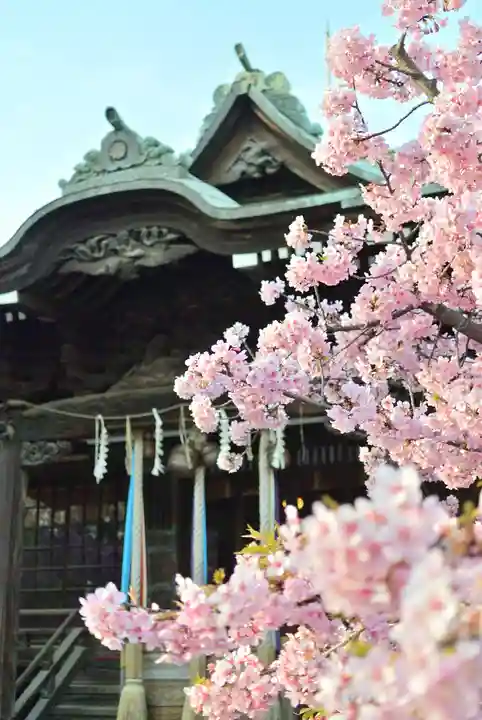 桜神宮(東京都)