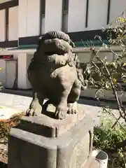 成子天神社の狛犬