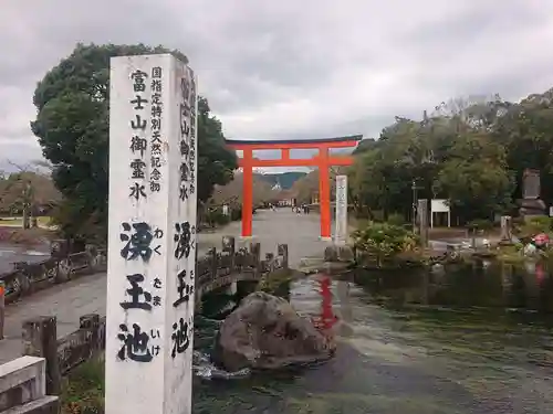 富士山本宮浅間大社の鳥居