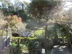 岩殿寺の自然