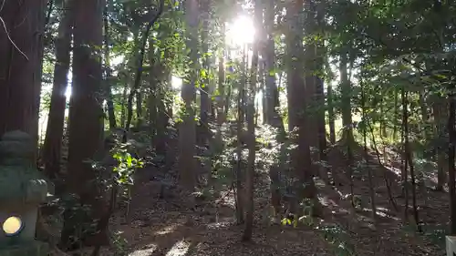 椿大神社の自然