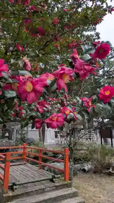 建部大社(滋賀県)