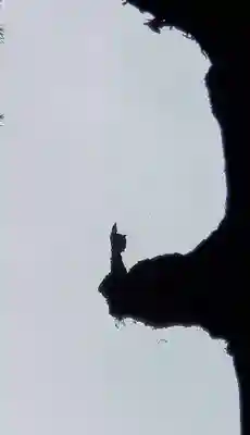 霧島神宮(鹿児島県)