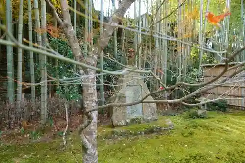 圓光寺の庭園