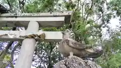 三宅八幡宮の鳥居