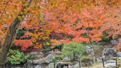 長岡天満宮(京都府)