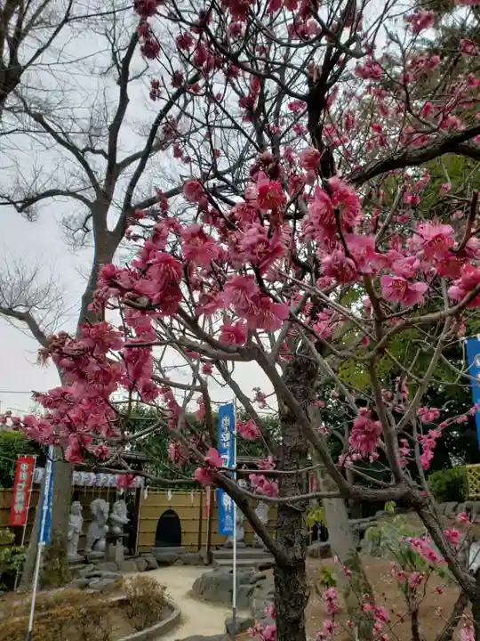 中野沼袋氷川神社(東京都)