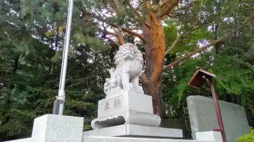 北見神社の狛犬