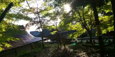 出雲大神宮のその他建物