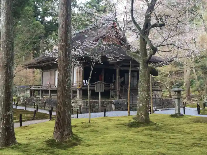 三千院門跡の本殿・本堂