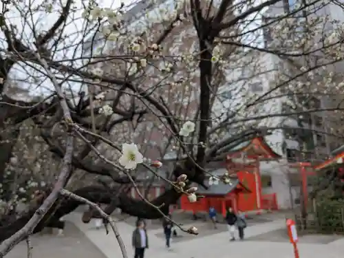 花園神社の自然