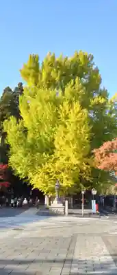 熊野大社(山形県)