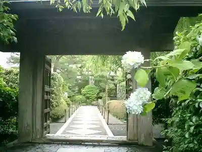 明月院の山門・神門