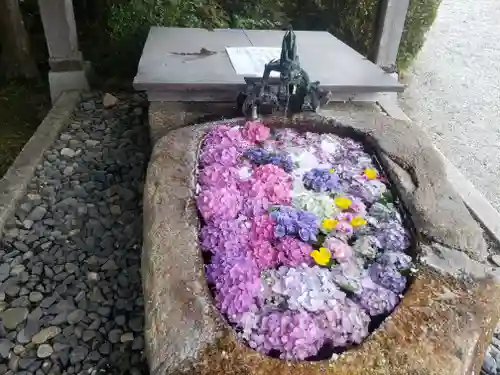 櫟野寺の手水舎