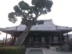 荘厳寺の本殿