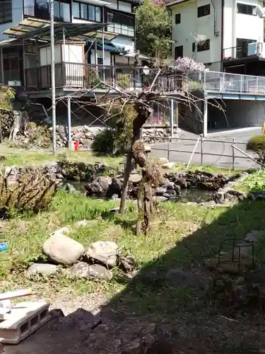 雲慶院の庭園