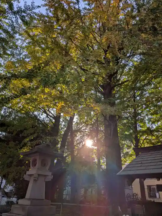 諏訪神社(東京都)