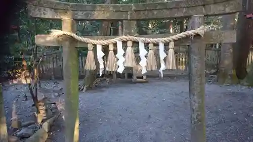 椿大神社の鳥居