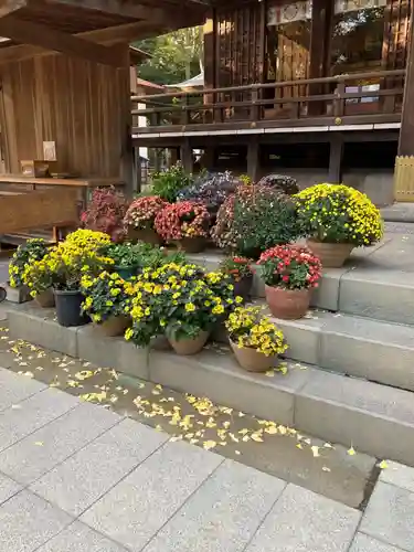 平塚八幡宮(神奈川県)