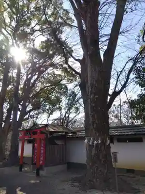 金井戸神社(京都府)
