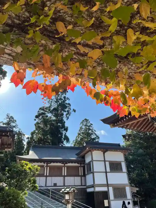 大神神社(奈良県)
