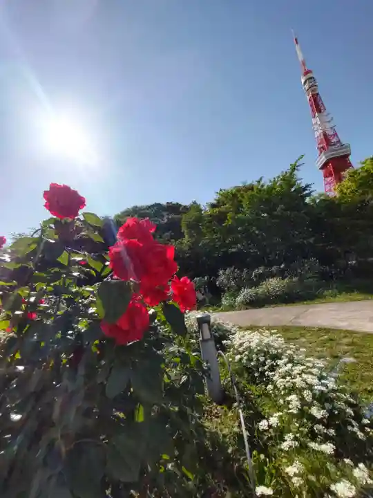 増上寺塔頭 三縁山 宝珠院の周辺
