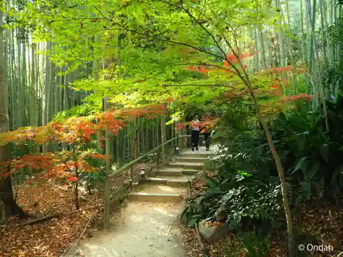 教林坊(滋賀県)