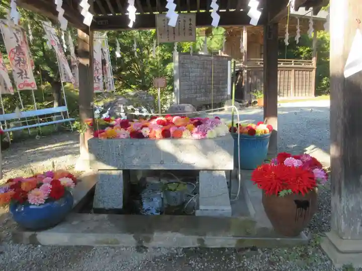 小鹿神社(埼玉県)