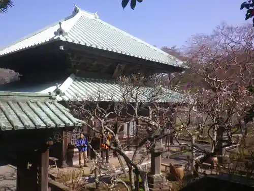 英勝寺の本殿・本堂