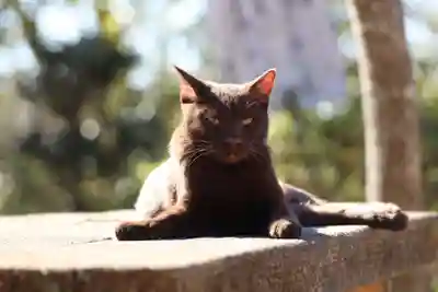 玉野御嶽神社(愛知県)