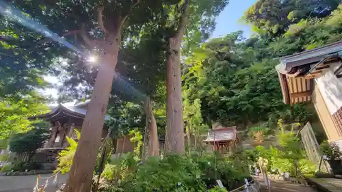 瀬戸神社の自然