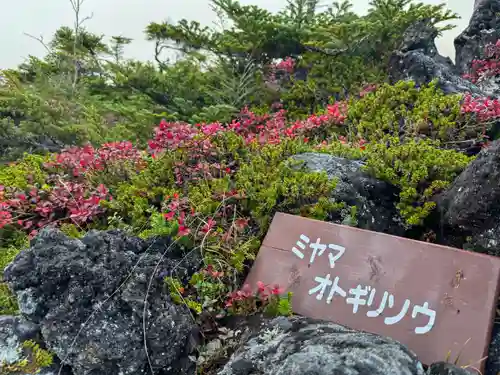 横岳神社(長野県)